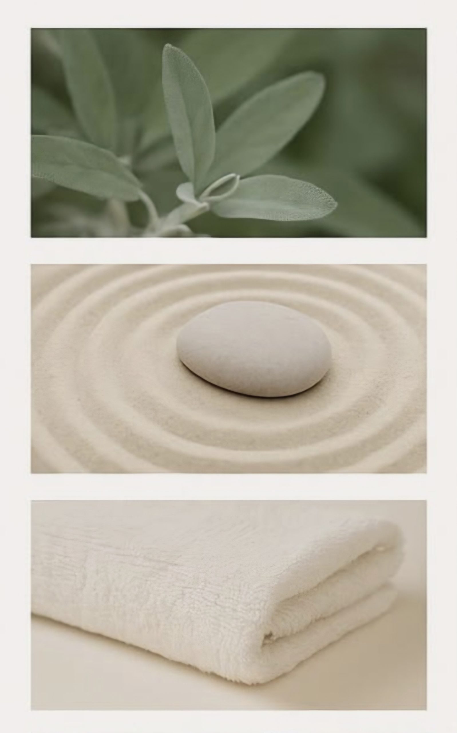 Screenshot_20260323_204714_Pinterest(1)(1)